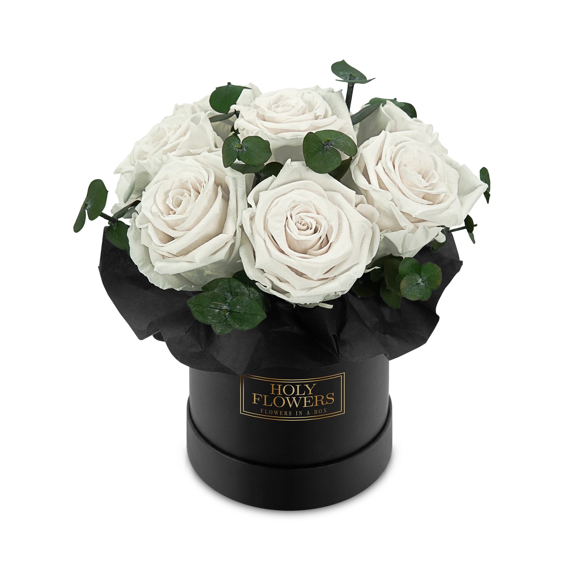 #farbe_white