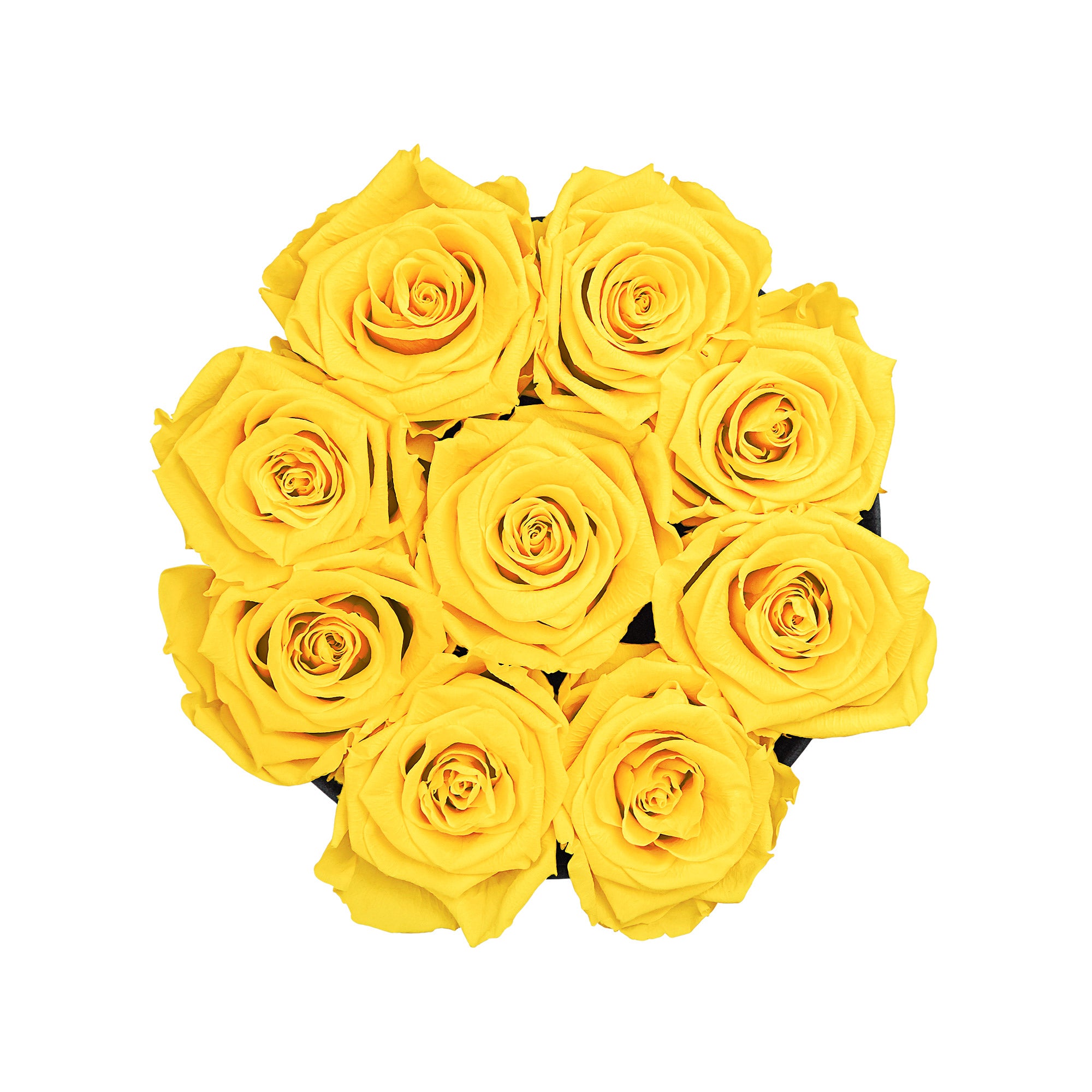 #farbe_yellow