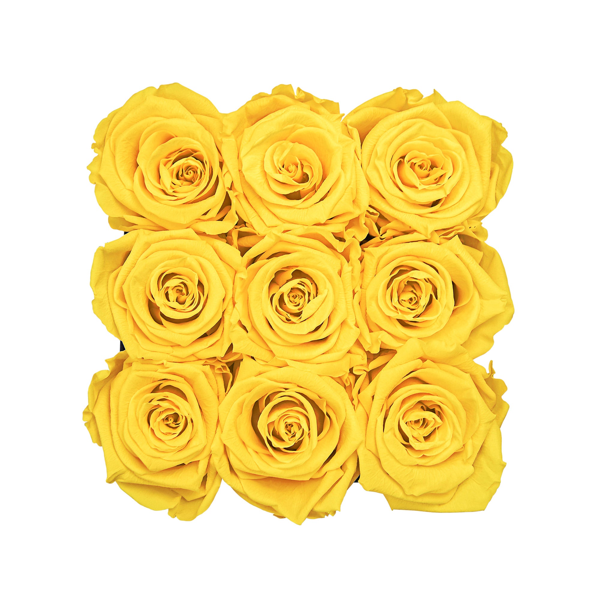 Infinity roses | Velvet Box square | S