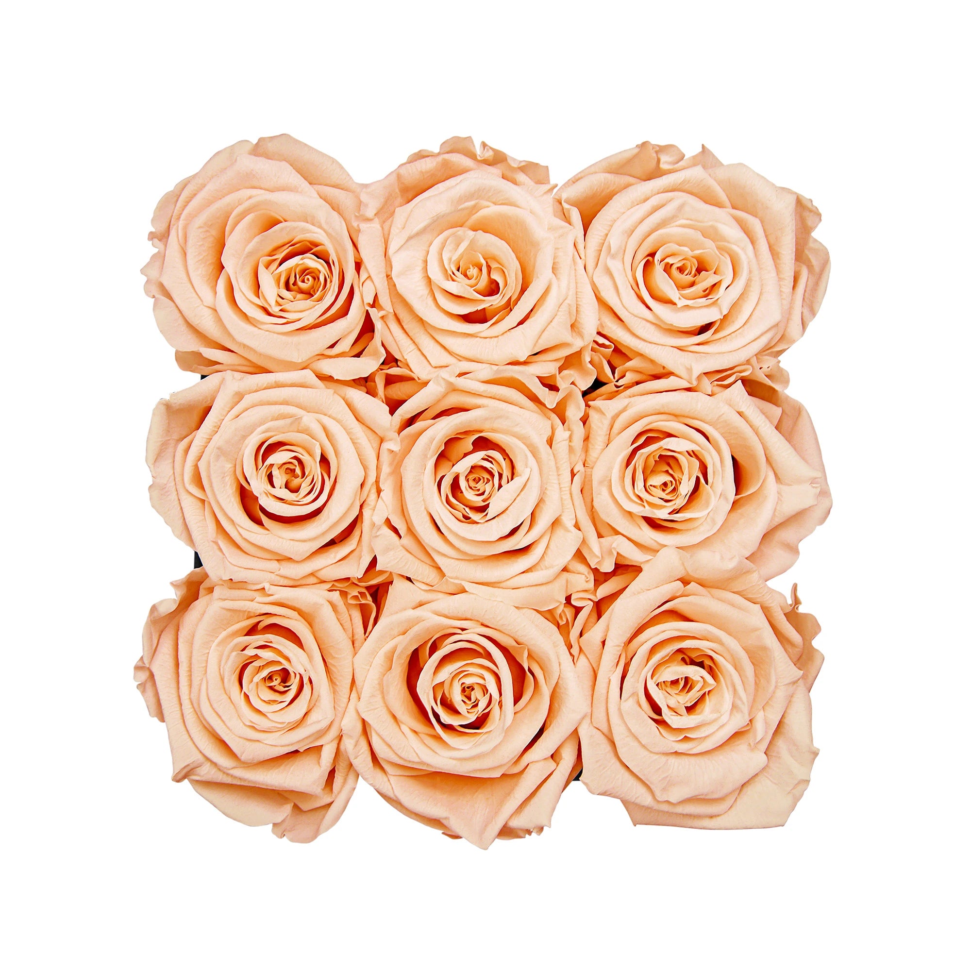 Infinity roses | Velvet Box square | S