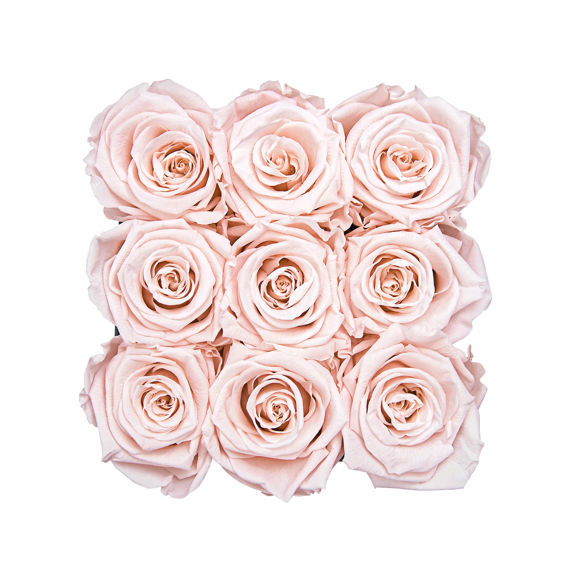 Infinity roses | Velvet Box square | S