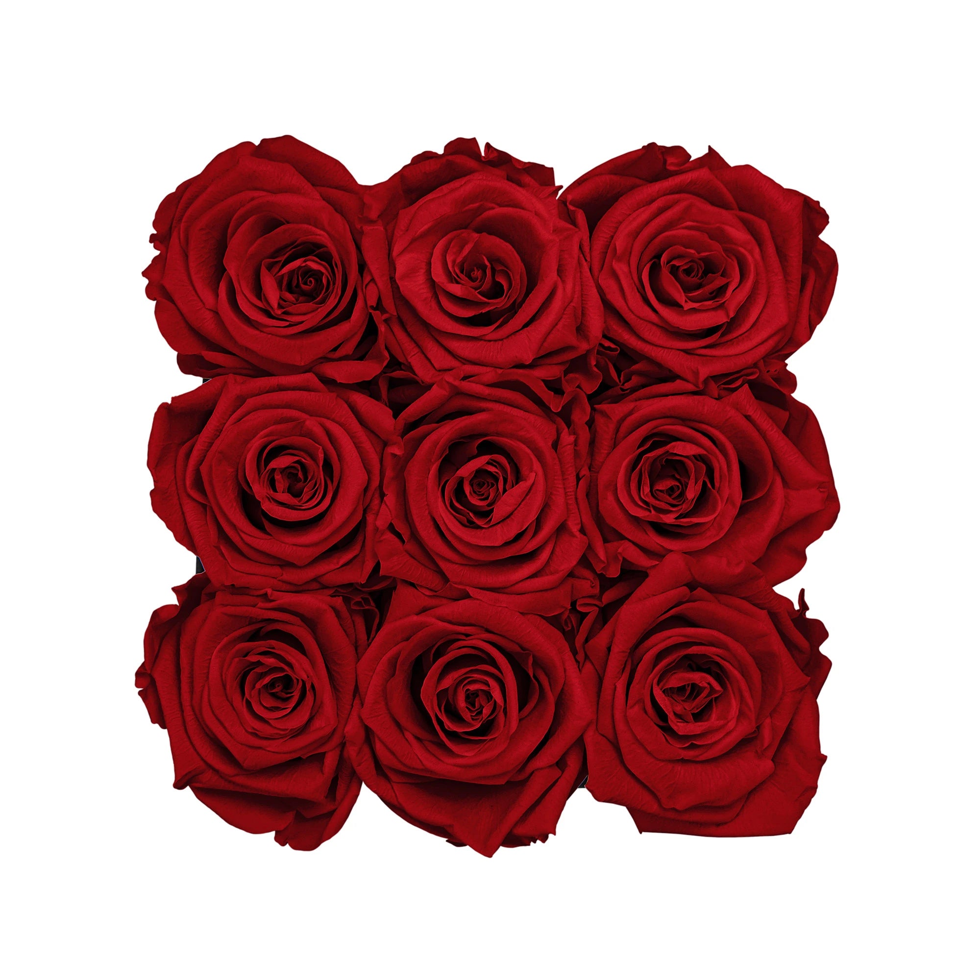 Infinity roses | Velvet Box square | S