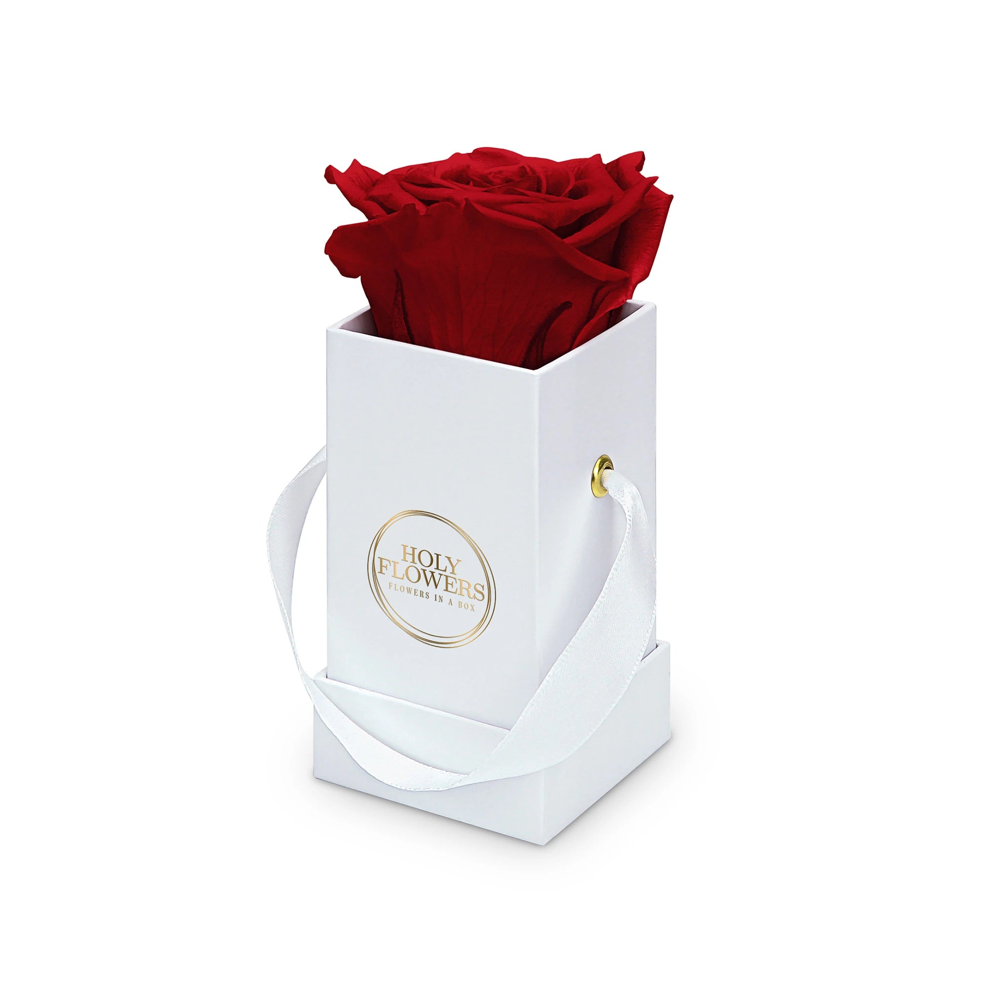 #farbe_red