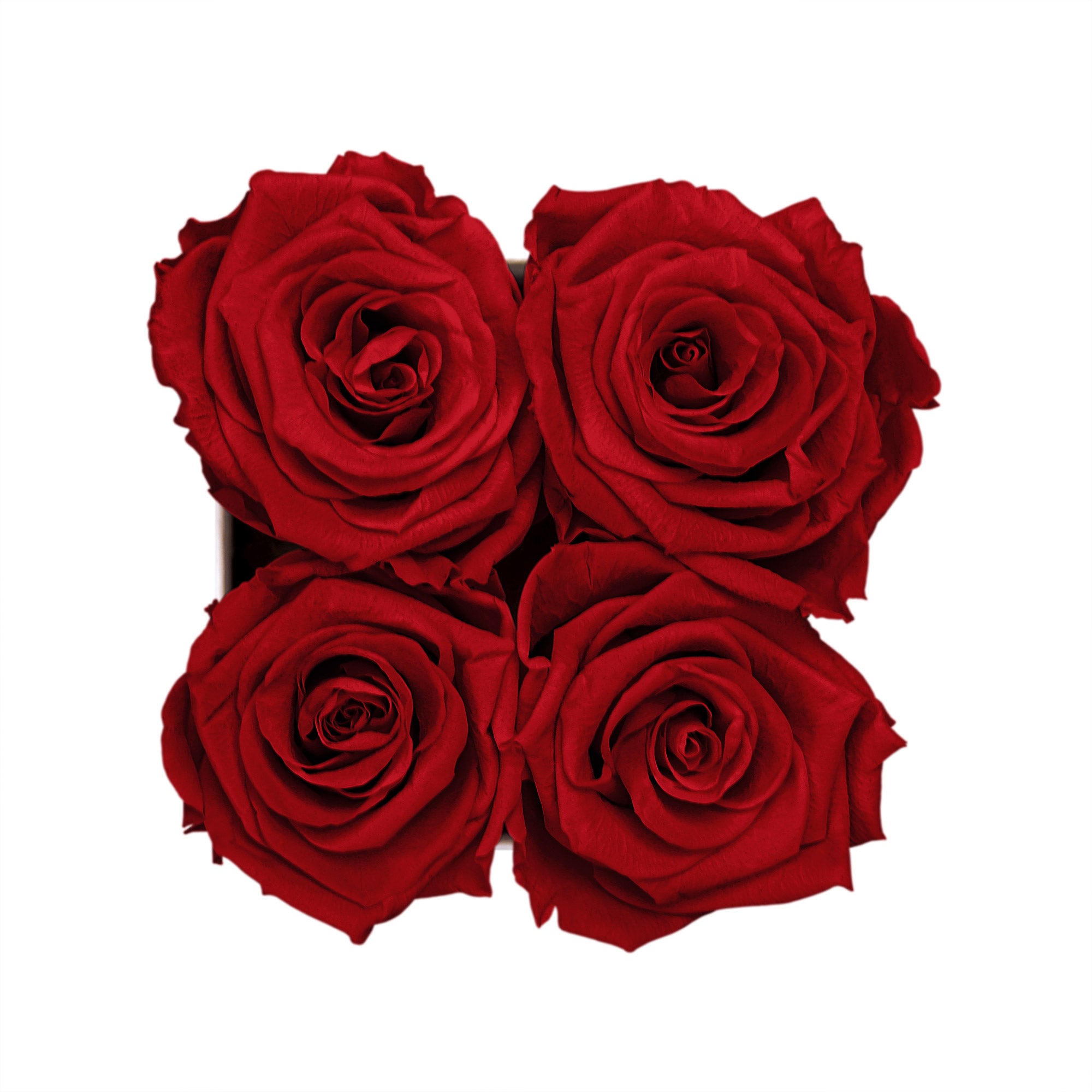 #farbe_red